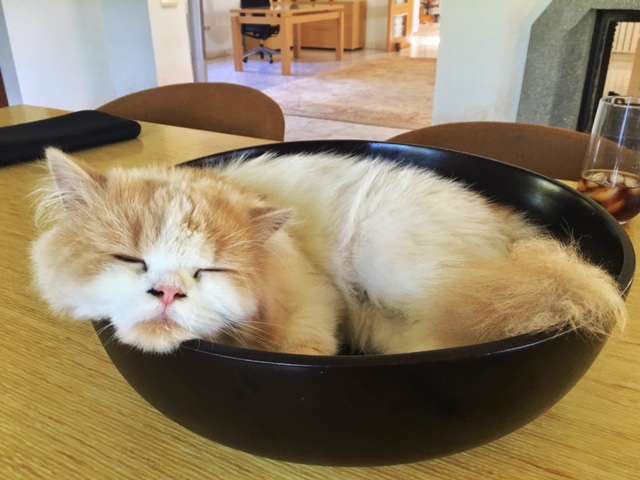 Processed with Snapseed.